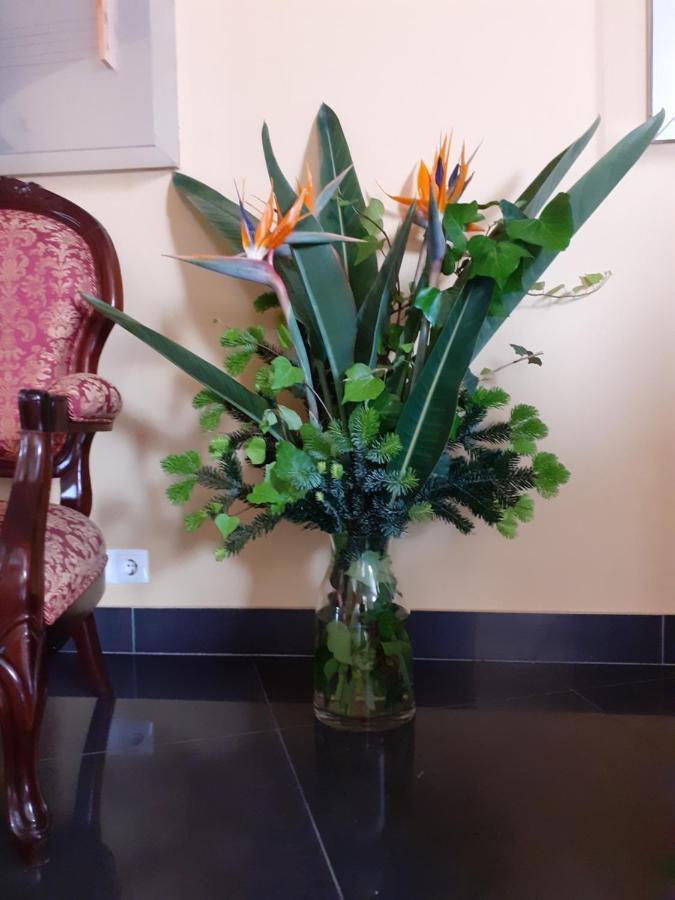 Hotel Principe Da Beira Fundão Екстериор снимка